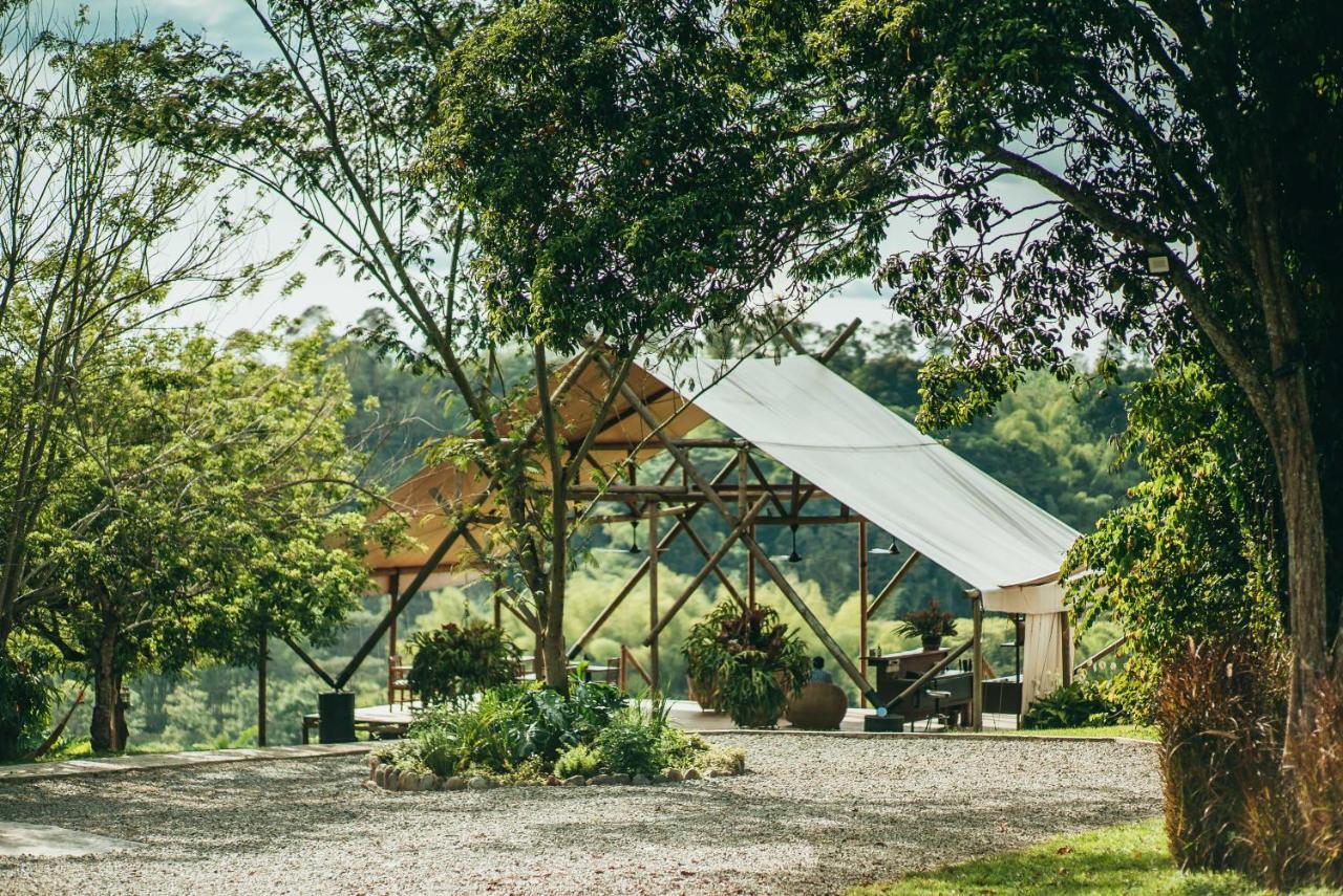 Hôtel Glamping Entre Rios à Calarcá Extérieur photo